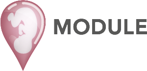 MODULE logo